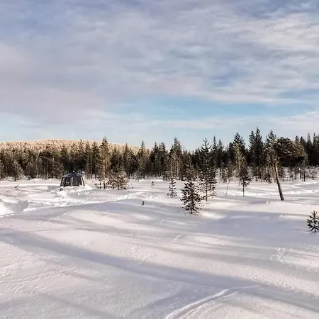 Arctica Lapland - Aurorahut Adventure Ivalo